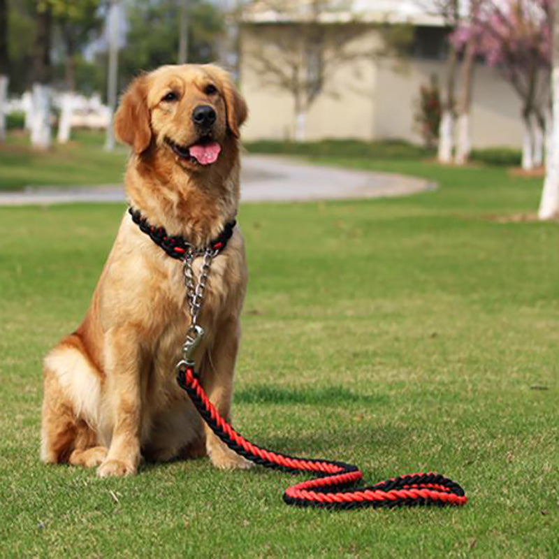 Medium large dogs walking dog rope collar dog P chain traction rope Fei Zai Pet Store