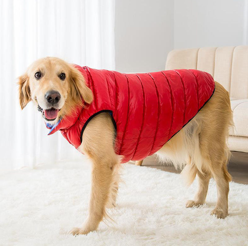 Comprar Ropa para perros grandes, coderas para perros medianos y grandes de  otoño para evitar la pérdida de cabello, ropa para patas de perro gordo a  rayas anchas
