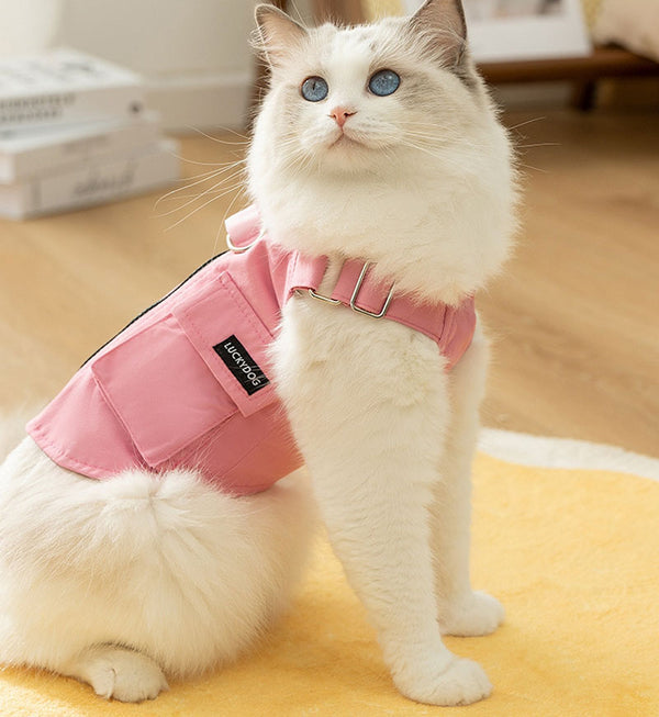 Otoño e invierno, moda para gatos, monos de estilo fresco, chaleco con tirantes, ropa para Gato