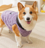 Autumn and winter dog jacquard comfortable cotton velvet Corgi two-legged fleece dachshund small and medium-sized dog warm pet dog clothes