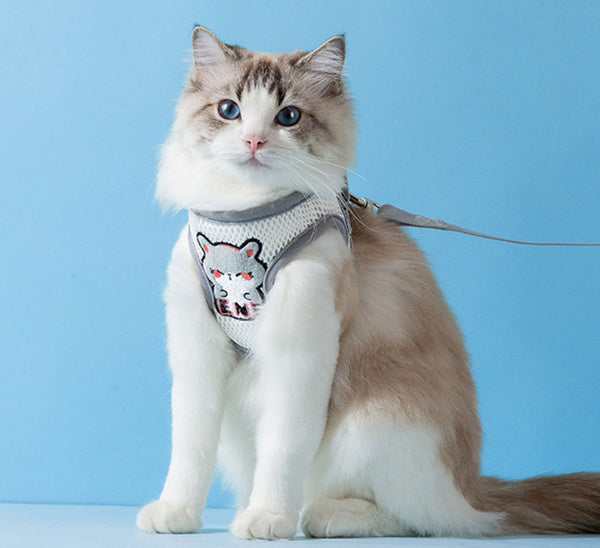 Cat Out Breathable Mesh Four Seasons Chest Harness Cute Cat Walking Rope Dog Leash Anti-breakaway Pet Rope