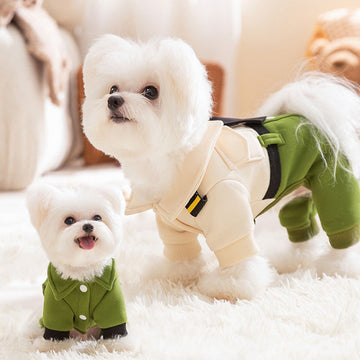 Autumn and winter dog college style cool uniform traction four-legged student uniform sweater cat shoulder bag pet dog clothes