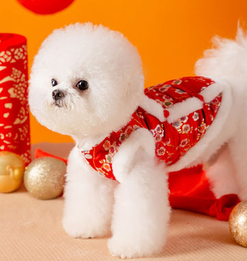 New Year clothes for small and medium-sized dogs