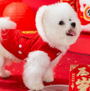 New Year clothes for small and medium-sized dogs