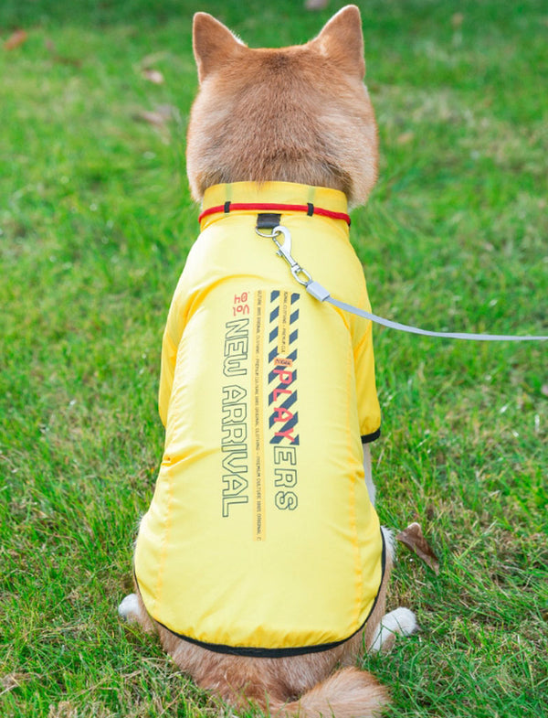 Perro de otoño e invierno, además de chaquetas frescas de terciopelo para perros pequeños y medianos para mantener sus pies calientes y abrigos de algodón manejables, ropa para perros