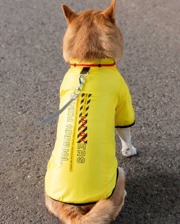 Perro de otoño e invierno, además de chaquetas frescas de terciopelo para perros pequeños y medianos para mantener sus pies calientes y abrigos de algodón manejables, ropa para perros