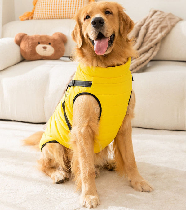 Gilet de traction à la mode pour chiens d'automne et d'hiver, pour grands chiens, golden retrievers, vestes pour grands chiens, manteaux en coton, vêtements pour chiens de compagnie