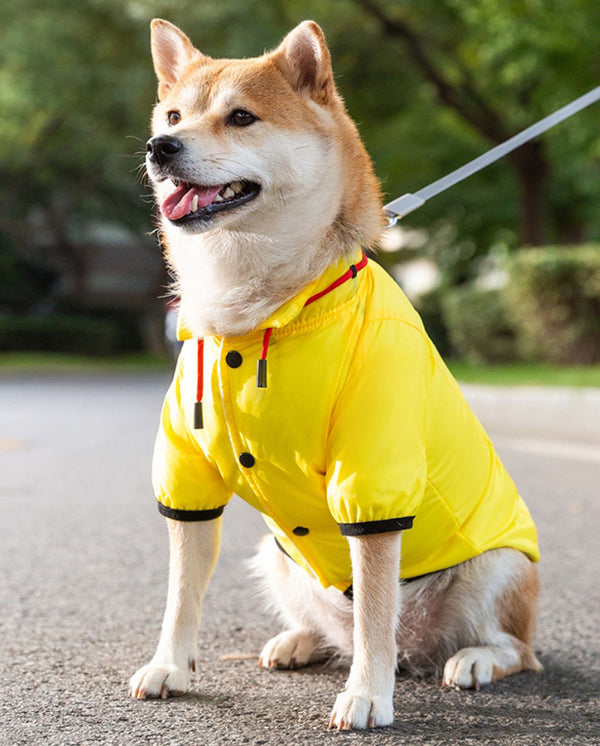 Perro de otoño e invierno, además de chaquetas frescas de terciopelo para perros pequeños y medianos para mantener sus pies calientes y abrigos de algodón manejables, ropa para perros