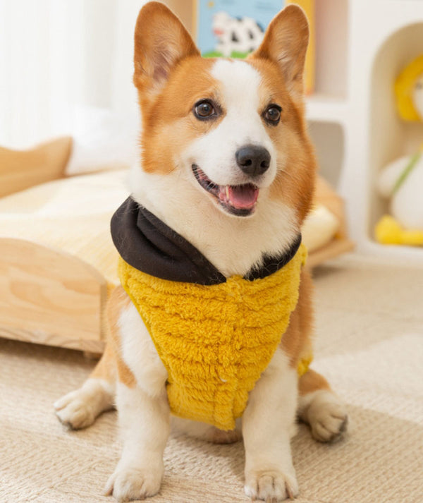 Autumn and winter dog jacquard comfortable cotton velvet Corgi two-legged fleece dachshund small and medium-sized dog warm pet dog clothes