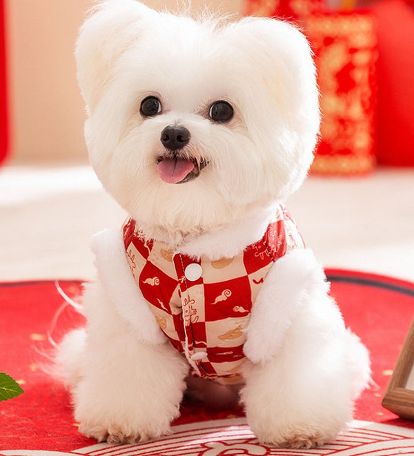 Autumn and winter dog small and medium-sized dog festive New Year plaid two-legged cotton coat warm thick pet clothes