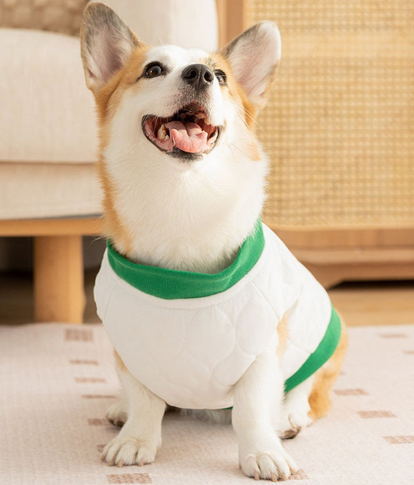 Gilet corgi matelassé simple avec lettre R, pour chiens de petite et moyenne taille, teckels, vêtements chauds pour animaux de compagnie, automne et hiver