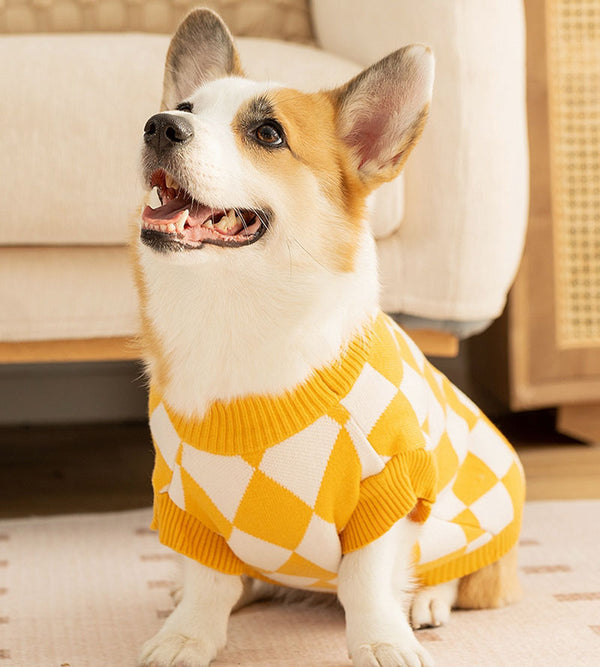 Pull chaud pour chien de petite et moyenne taille, patch damier, corgi, vêtements pour animaux de compagnie, teckel, automne et hiver