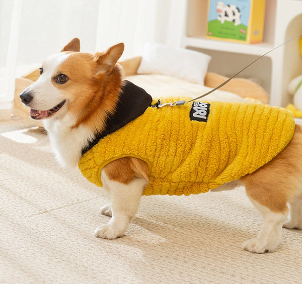 Autumn and winter dog jacquard comfortable cotton velvet Corgi two-legged fleece dachshund small and medium-sized dog warm pet dog clothes