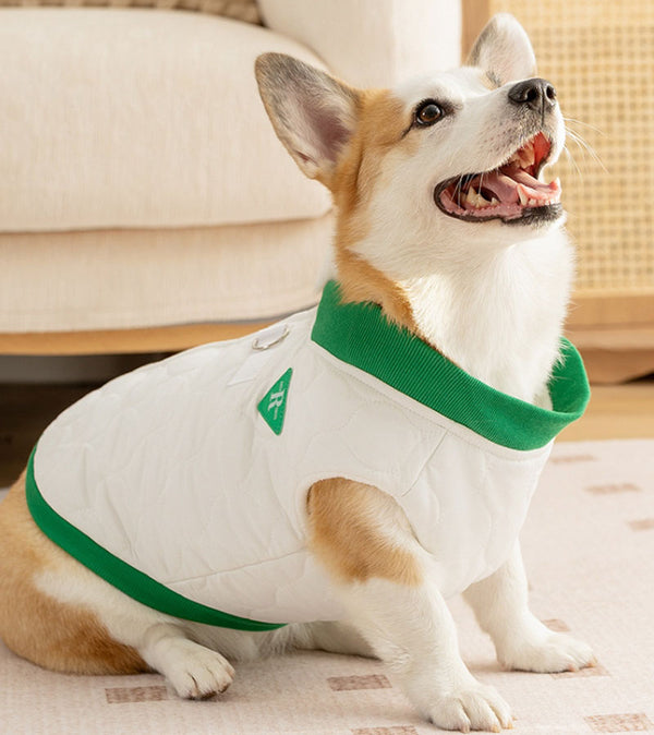 Autumn and winter simple quilted cotton letter R corgi vest dog small and medium-sized dog dachshund warm pet clothes