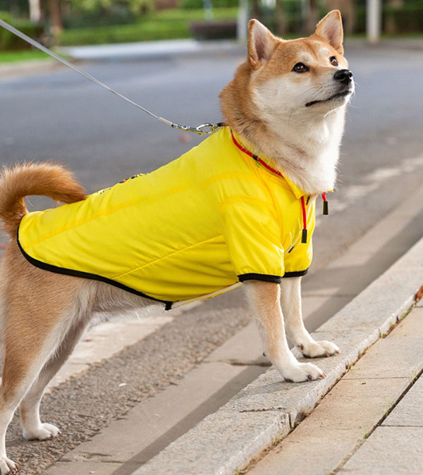 Perro de otoño e invierno, además de chaquetas frescas de terciopelo para perros pequeños y medianos para mantener sus pies calientes y abrigos de algodón manejables, ropa para perros