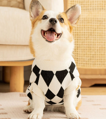 Autumn and Winter Dog Checkerboard Patch Corgi Sweater Small and Medium Dog Warm Knitted Sweater Dachshund Pet Clothes