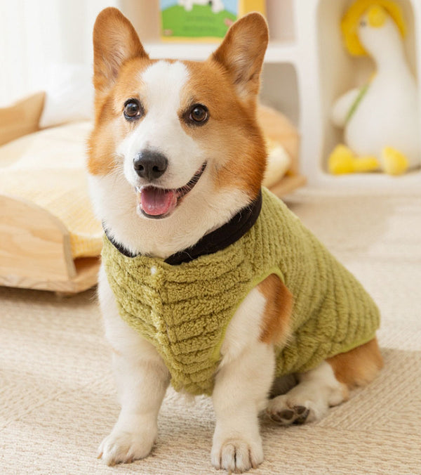 Autumn and winter dog jacquard comfortable cotton velvet Corgi two-legged fleece dachshund small and medium-sized dog warm pet dog clothes