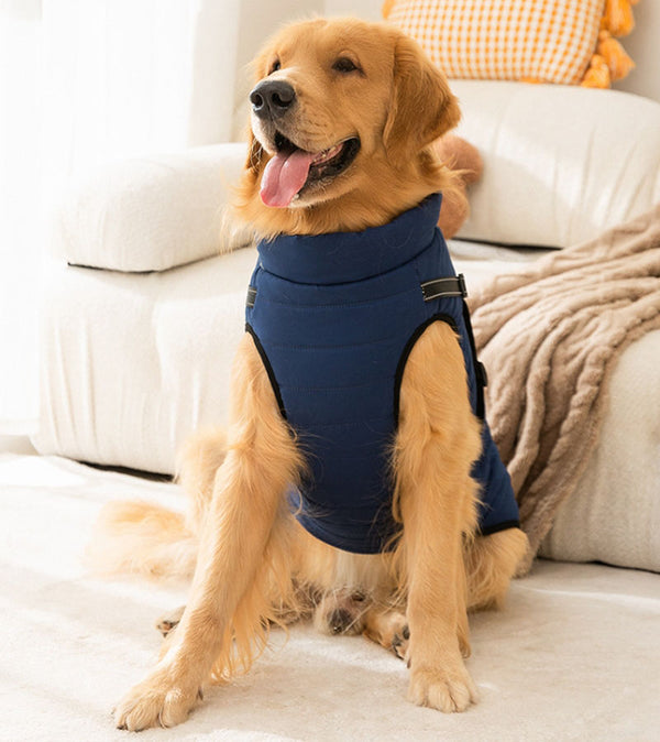 Gilet de traction à la mode pour chiens d'automne et d'hiver, pour grands chiens, golden retrievers, vestes pour grands chiens, manteaux en coton, vêtements pour chiens de compagnie