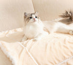 Autumn and winter cat bubble velvet thick blanket dog warm pad pet sleeping blanket