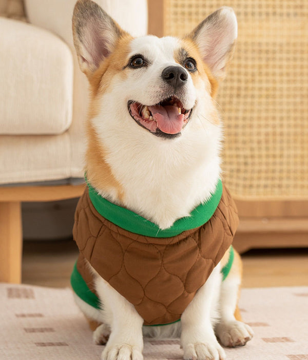 Autumn and winter simple quilted cotton letter R corgi vest dog small and medium-sized dog dachshund warm pet clothes