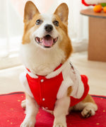 Herbst- und Winter-Corgi-Neujahrs-Tang-Anzug für kleine und mittelgroße Hunde, Dackel, zwei Fuß warmer Baumwollmantel, Bank-Hundehaustier-Hundekleidung