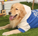 Vêtements pour chiens automne et hiver Labrador moyen et grand chien Border Collie vêtements en coton pour animaux de compagnie Golden Retriever sweat-shirt pour chien chaleur d'hiver