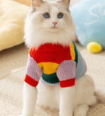 Cat autumn and winter simple rainbow striped sweater hairless cat warm pullover sweater pet clothes