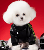 Autumn and winter dog trendy motorcycle leather jacket American style wind jacket small and medium-sized dog warm cotton coat pet clothes