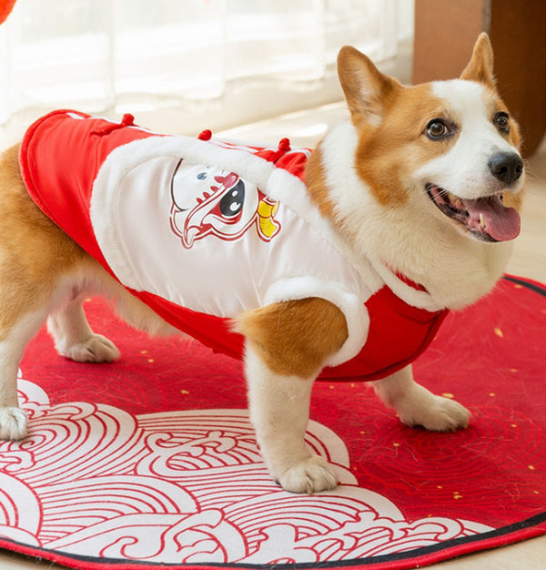 Herbst- und Winter-Corgi-Neujahrs-Tang-Anzug für kleine und mittelgroße Hunde, Dackel, zwei Fuß warmer Baumwollmantel, Bank-Hundehaustier-Hundekleidung