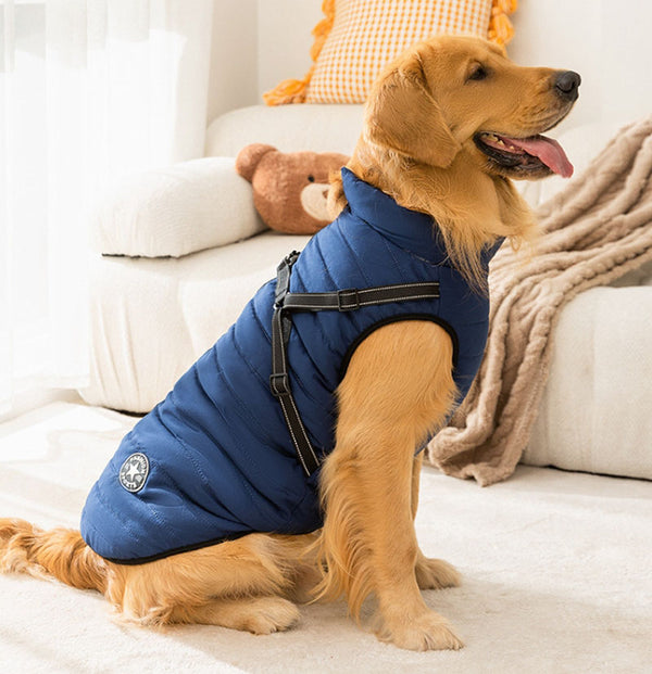 Gilet de traction à la mode pour chiens d'automne et d'hiver, pour grands chiens, golden retrievers, vestes pour grands chiens, manteaux en coton, vêtements pour chiens de compagnie