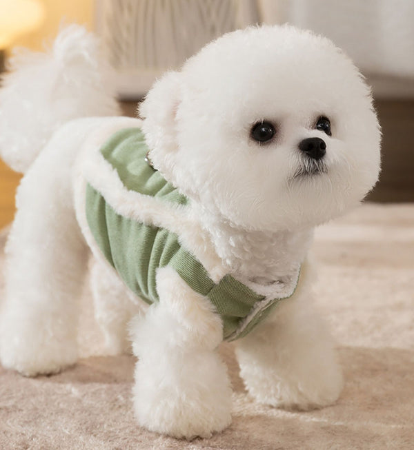 Petits chiens printemps et automne hiver vers le bas des vêtements en coton