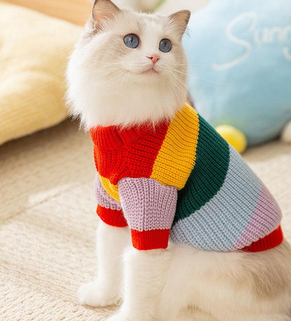 Cat autumn and winter simple rainbow striped sweater hairless cat warm pullover sweater pet clothes