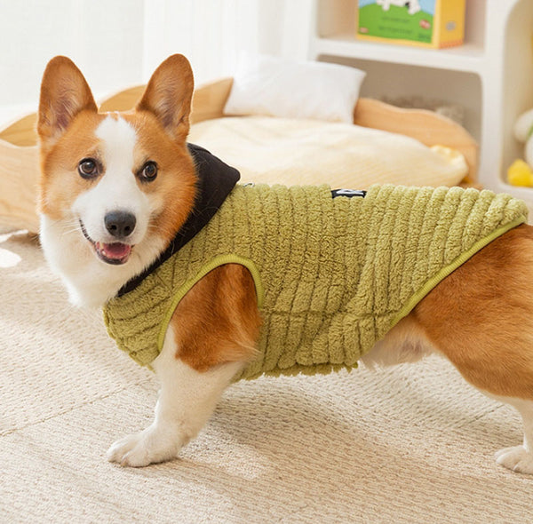 Autumn and winter dog jacquard comfortable cotton velvet Corgi two-legged fleece dachshund small and medium-sized dog warm pet dog clothes