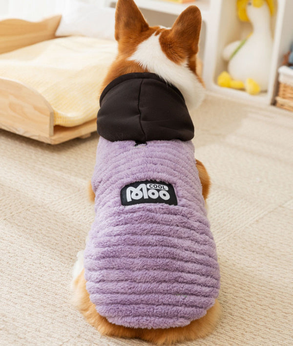 Autumn and winter dog jacquard comfortable cotton velvet Corgi two-legged fleece dachshund small and medium-sized dog warm pet dog clothes