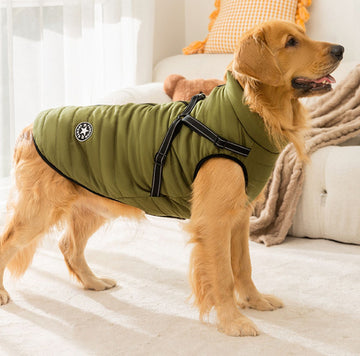 Autumn and winter dog fashion outdoor traction vest large dog golden retriever big dog jacket cotton coat pet dog clothes