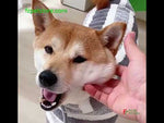 Pet towels Small, medium and large dog absorbent towels Shiba Inu Corgi dog soft quick-drying towel bath towel