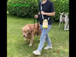 Dog Large Capacity Pet Outdoor Drinking Kettle Cat Drinker Portable Water Cup Food Integrated