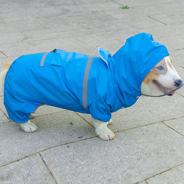 Corgi dog raincoat