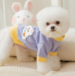 Autumn and winter small and medium-sized dog thin fleece sweater two feet cute wind warm pet dog clothes