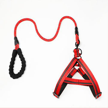 Puppy medium dog leash