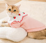 Cat autumn and winter clothes