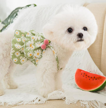 春夏新作の薄いキュートな子犬と猫のベストスカート