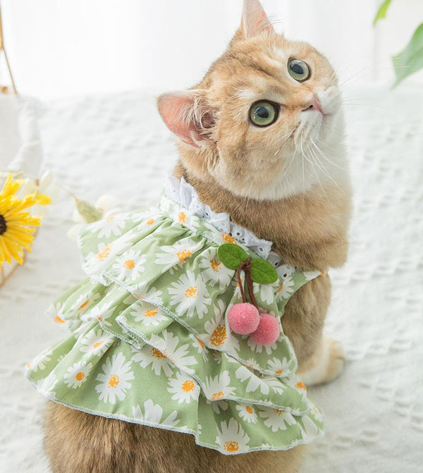 nouveau printemps et été mince jupe de gilet de chiot et de chat