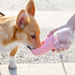 Botella de agua para gatos al aire libre