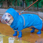 Corgi dog raincoat