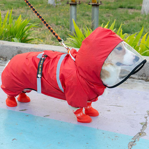 Corgi dog raincoat