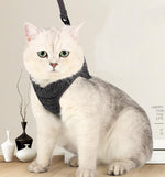 Cat chest harness traction rope