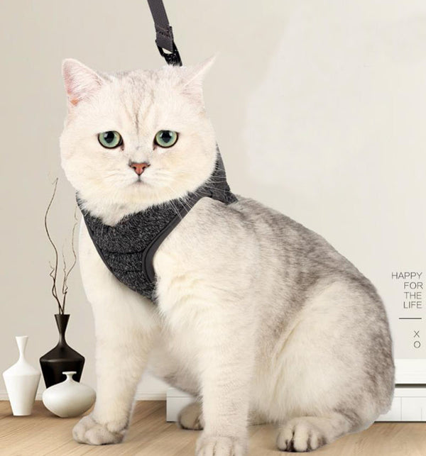 Cat chest harness traction rope