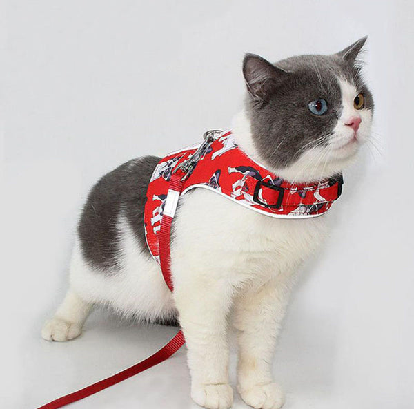 Breathable anti-strike reflective cat harness