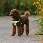 Dog chest harness vest